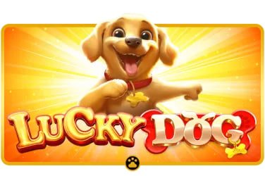 Antarmuka Bingo di aplikasi Android booming bet Antarmuka Bingo di aplikasi Android booming bet